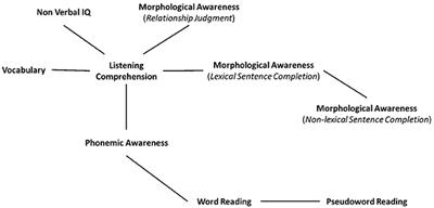 What Is the Influence of Morphological Knowledge in the Early Stages of Reading Acquisition Among Low SES Children? A Graphical Modeling Approach